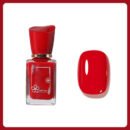 ⏳Limited Time Special⏳No-Bake and Quick-Drying Multicolor Nail Polish