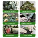 🌱 50% OFF - Rapid Bloom Booster Powder | Fast Root Growth + Bigger Flowers!🌸