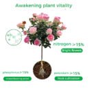 🌱 50% OFF - Rapid Bloom Booster Powder | Fast Root Growth + Bigger Flowers!🌸